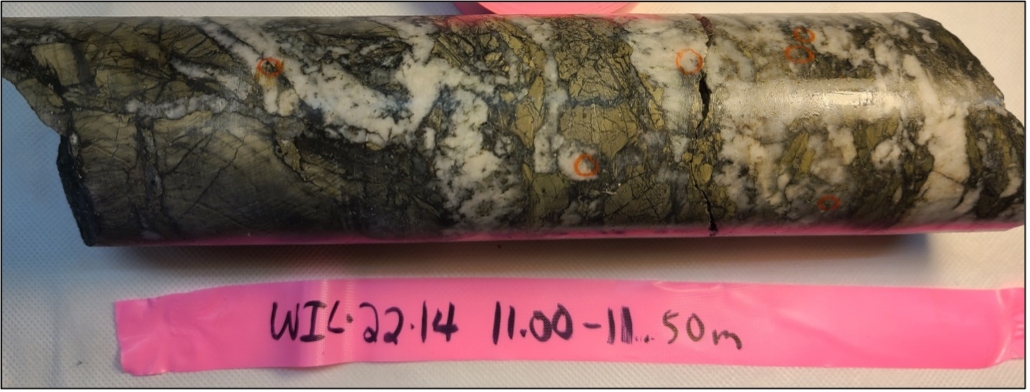 Visible gold within quartz carbonate veining including pyrite and arsenopyrite mineralization and sericite alteration in the host rock within WIL-22-14 11.00-11.50m